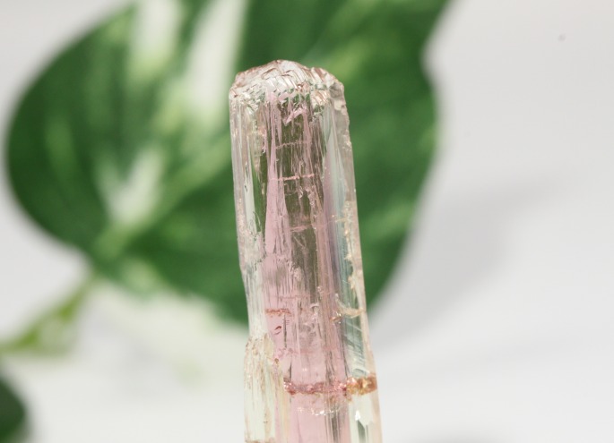 バイカラートルマリン①(18-mafu-0352)