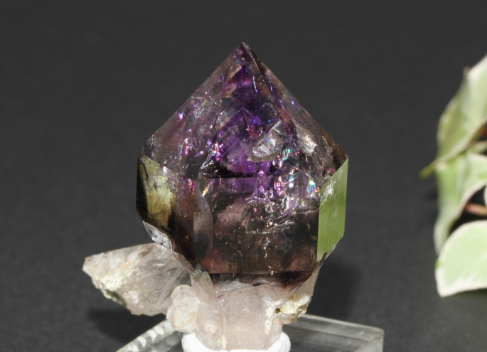 ブランドバーグアメジスト-1