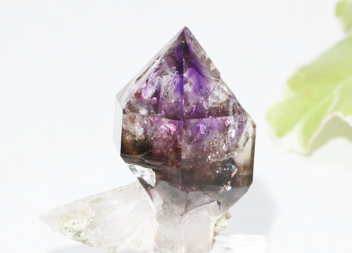 ブランドバーグアメジスト-3