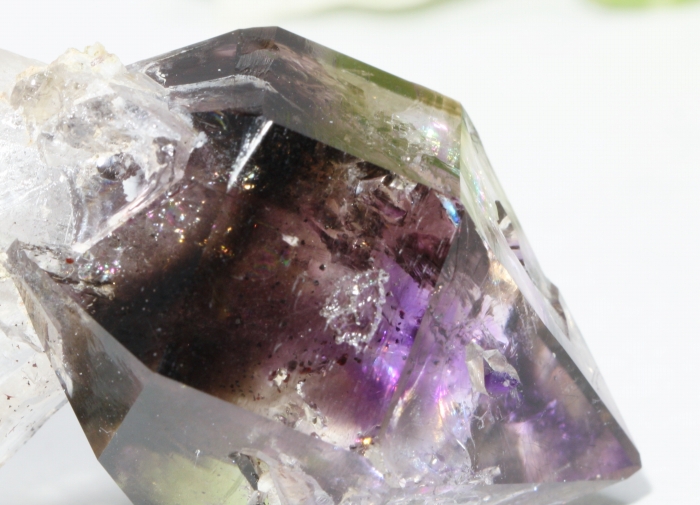 ブランドバーグアメジスト-0