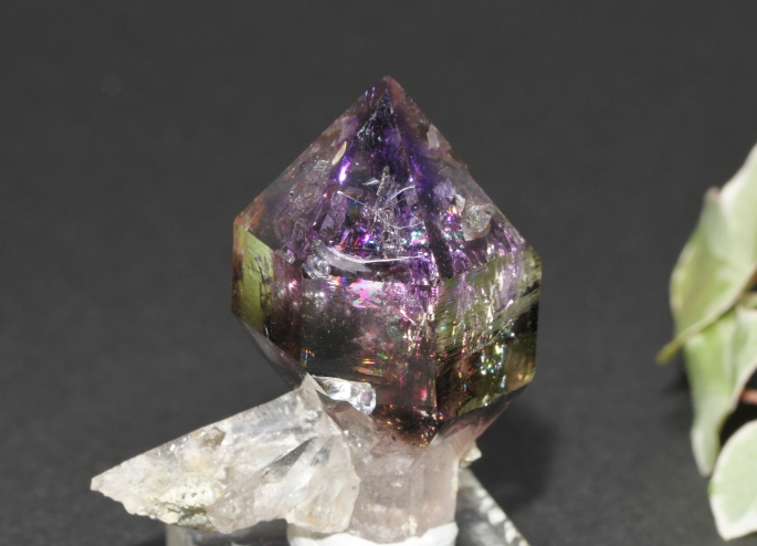 ブランドバーグアメジスト-6