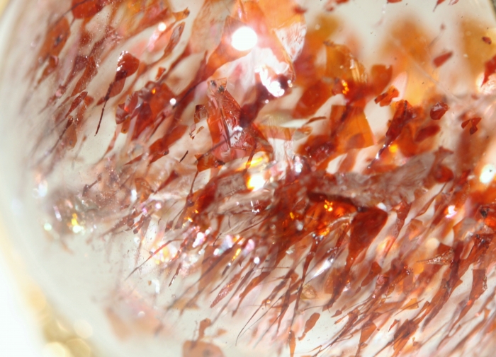 レッドエレスチャルペンダントトップ-8