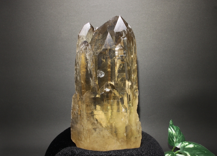 天然シトリン カテドラルライブラリー-0