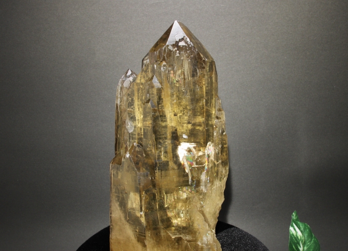 天然シトリン カテドラルライブラリー-1