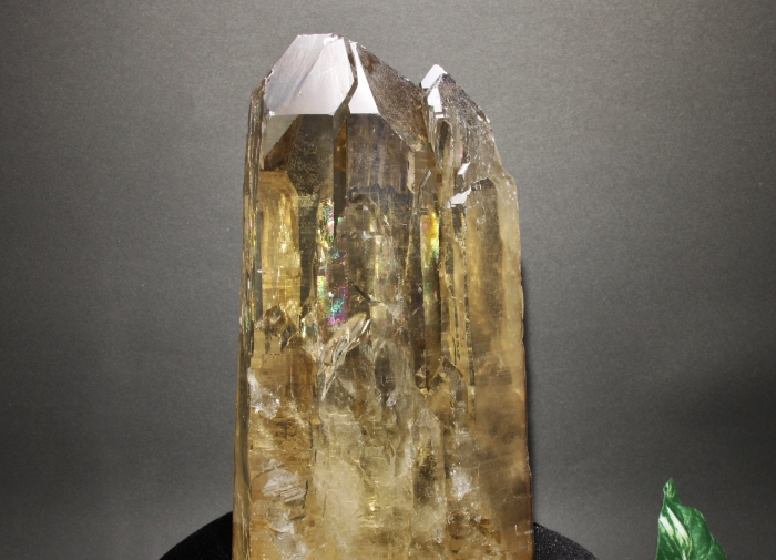 天然シトリン カテドラルライブラリー-8