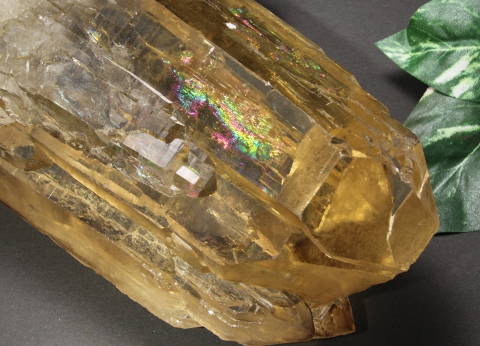 天然シトリン カテドラルライブラリー-14